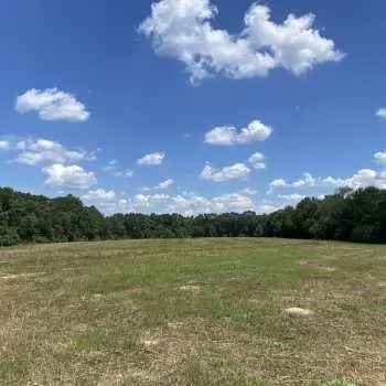 91 Acres - Geneva Co. - The County Road 10 Tract
