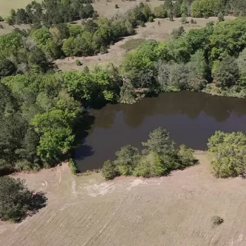 45.57 Ac- Covington County, AL- Dauphin Farm Tract