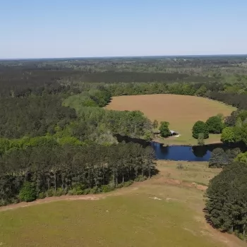 130 Ac- Covington County, AL- Hattaway Rd Farm