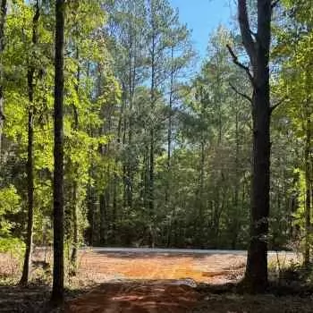 20 +/- Acres - Lamar County, AL - Wooden Bridge Tract
