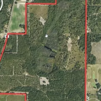 404 +/- acres - Houston County, AL - Creekside Bucks Tract