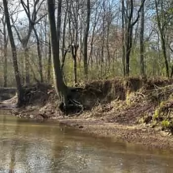 80 +/- ac - Fayette County - Hells Creek Tract