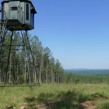 35.41 Acres - Blount County, Alabama - Hunting and Timber Tract