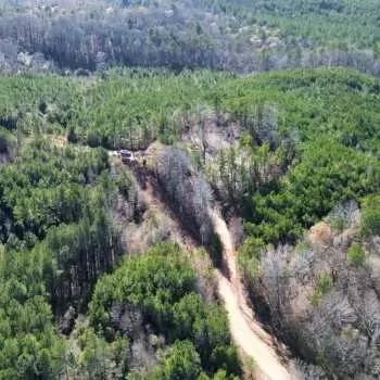 27 +/- acres - Lamar County, AL - Guin Cemetery Rd Tract