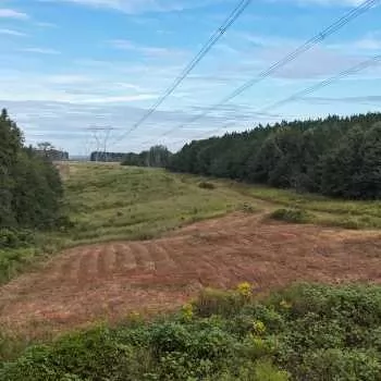 69 Acres - Highway 223 Banks - Pike County