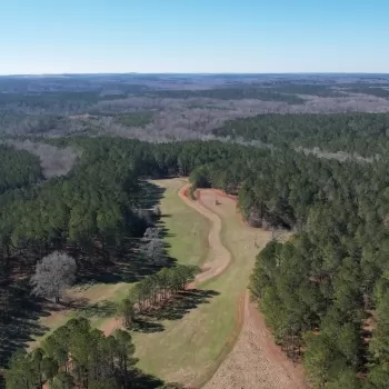 380 acres - Lee County - Tillery Halawalka Tract