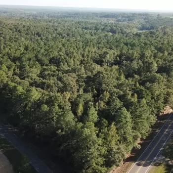 22 Ac - Coffee Co - Clowers Crossroads 22