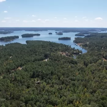 157 acres - Tallapoosa County - Triple Branch Road Tract