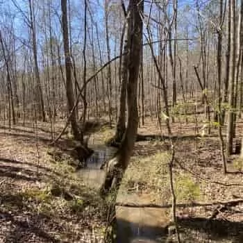 53 acres - Lee County - Lake Harding Properties LLLP 56