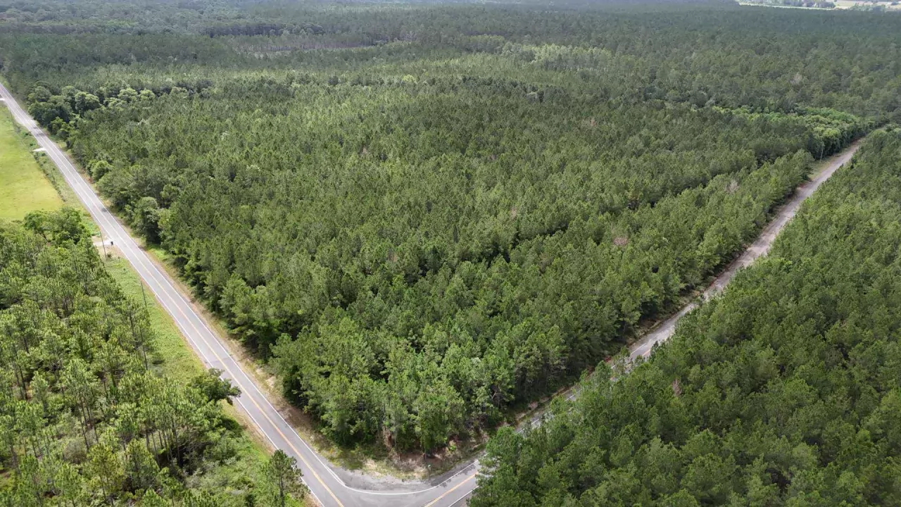 Adams Road Topo .png