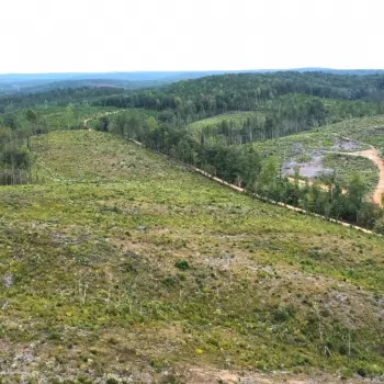 100 +/- Acres - Marion County, AL - CR 54 Tract A