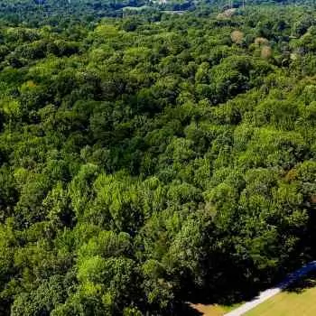 64.2 acres - Dyer County - Quail Ridge