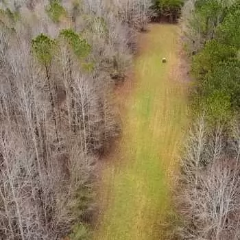 243 +/- acres - Walker County - Teagle Creek Tract