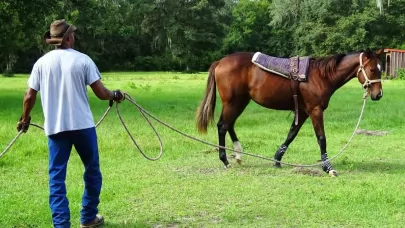 Tutt land Starting in the Horse Business | A First Farm Primer