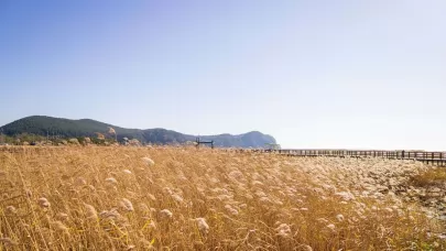 Tutt land CRP How It Works & Get Started | A First Farm Primer