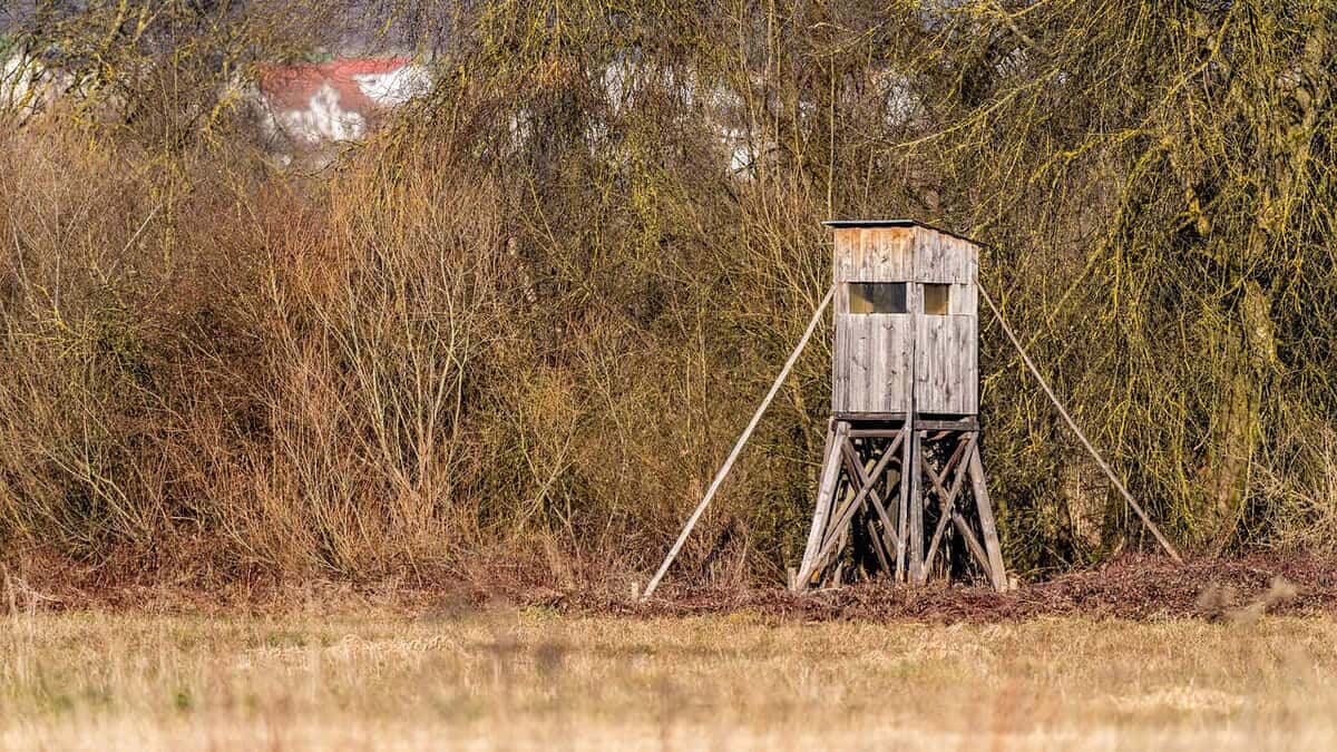 Deer stand in a field edge symbolizing low-effort steady revenue from leases
