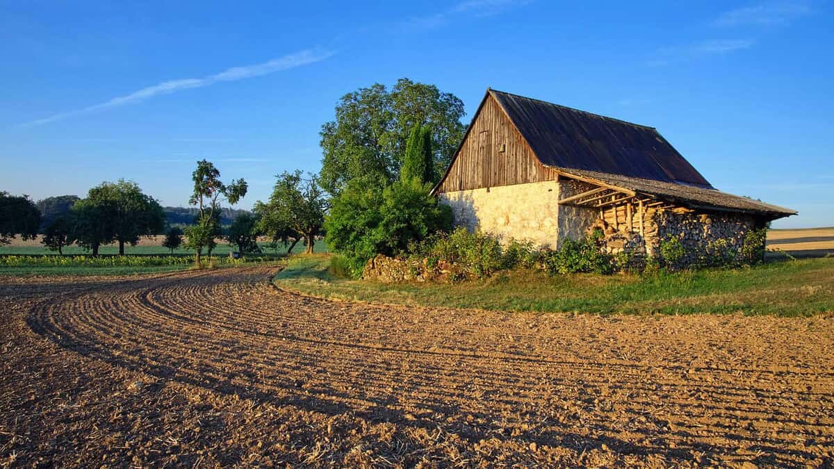Tutt land Land Investment: A Reliable Hedge Amid 2025 Market Volatility