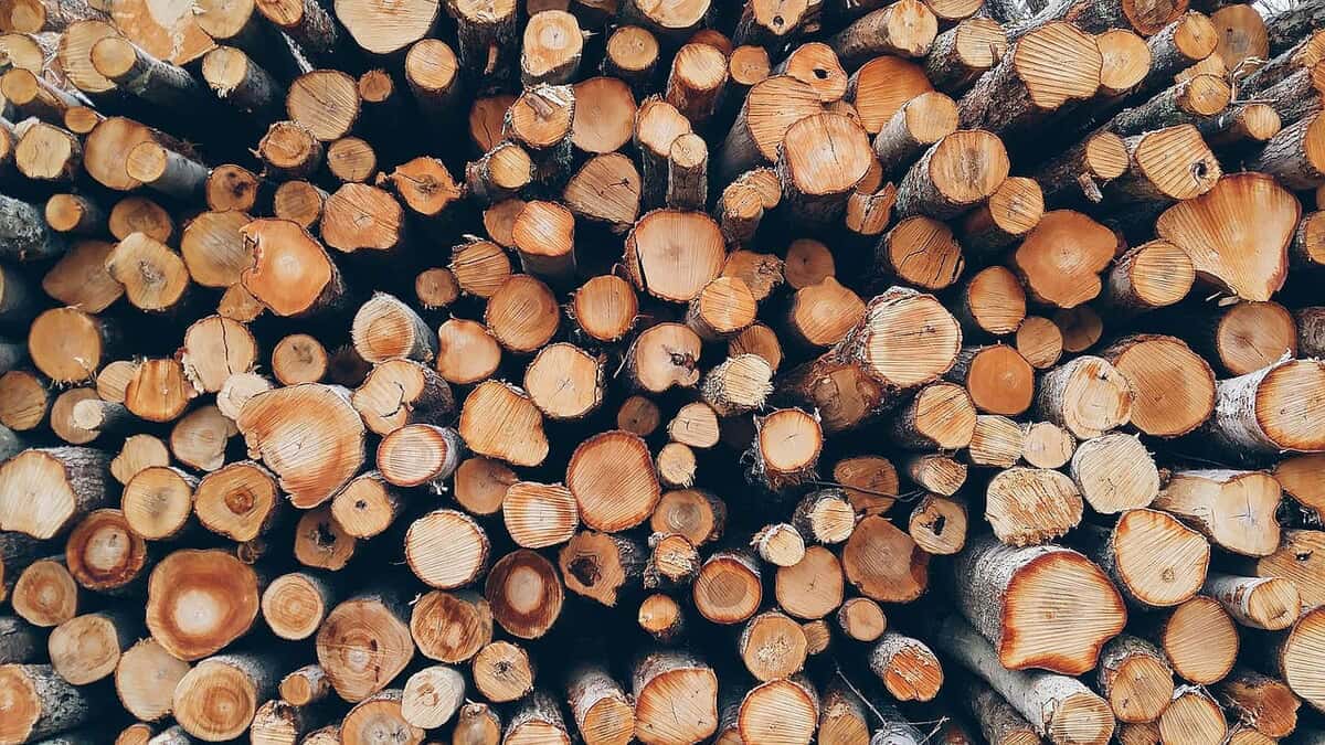 Tutt land Understanding Wood Basket Analysis in the Southeastern U.S.