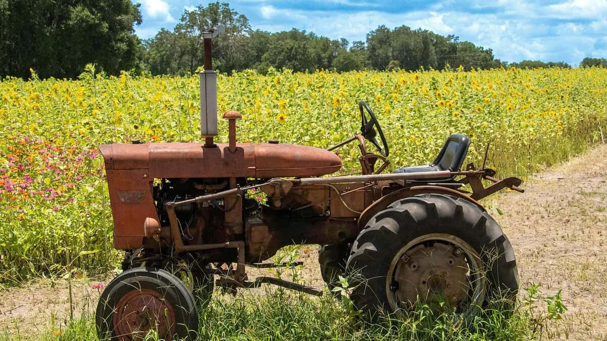 Florida farm and rural land