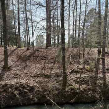 125 +/- Ac - Jefferson County, AL - Adger, AL Parcel 8