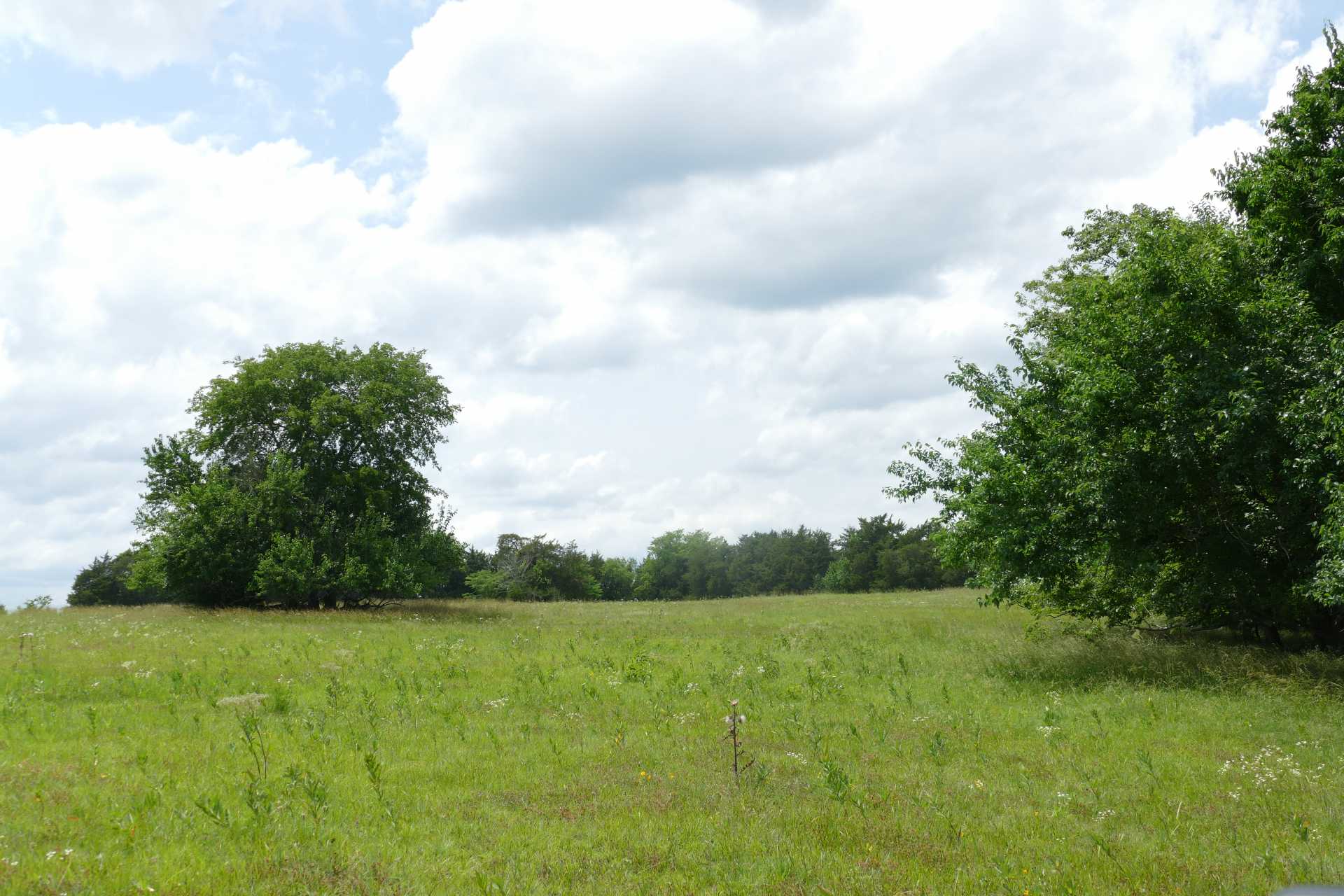 P1460984.JPG