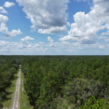 .25 +/- ac - Levy County - Rainbow Lakes Lot