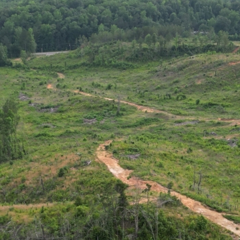 53 +/- Acres - Bibb County, AL - Hwy 82