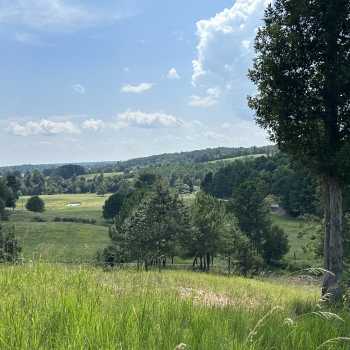 20 +/- acres - Cullman County- Paradise Hollow Farm