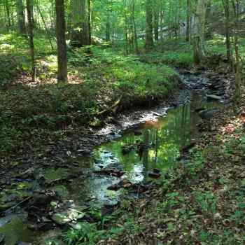 41 +/- Acres - Jefferson County, AL - Mud Creek Tract