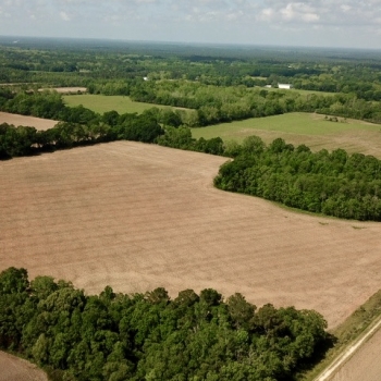 71 Ac - Mobile County - Easley Rd Farm