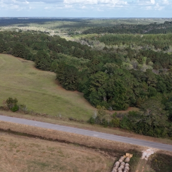 11 Ac - Coffee Co - Rowe Bridge Road Homesite - Parcel 6