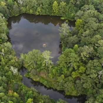 21 Acres - 284 N Sawmill St - Crenshaw County