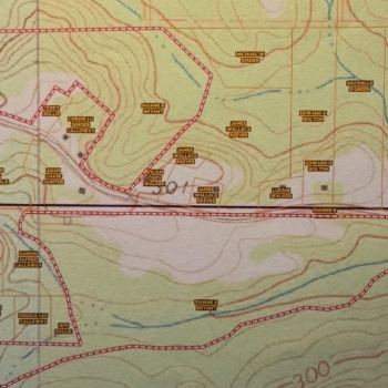 81 acres - Clarke County- Buckalew Tract
