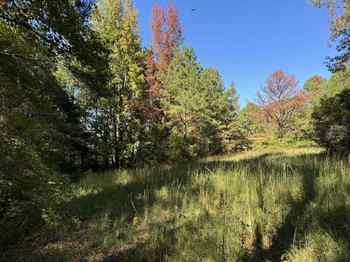 2+/- Acres - Bibb County - Blue Vase Homes
