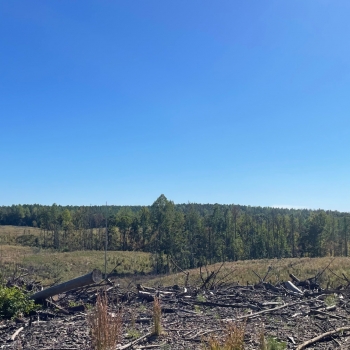 60 +/- Ac. - Fayette County - Mt. Vernon Tract 1