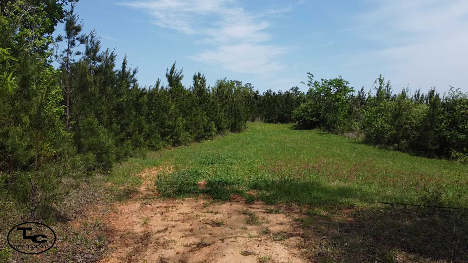 Screenshot_4.jpg