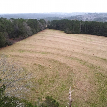 13 Ac - Coffee County - Rowe Bridge Road Parcel 1