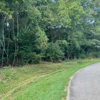 5.01 +/- Ac - Harris County, GA - Tract 1