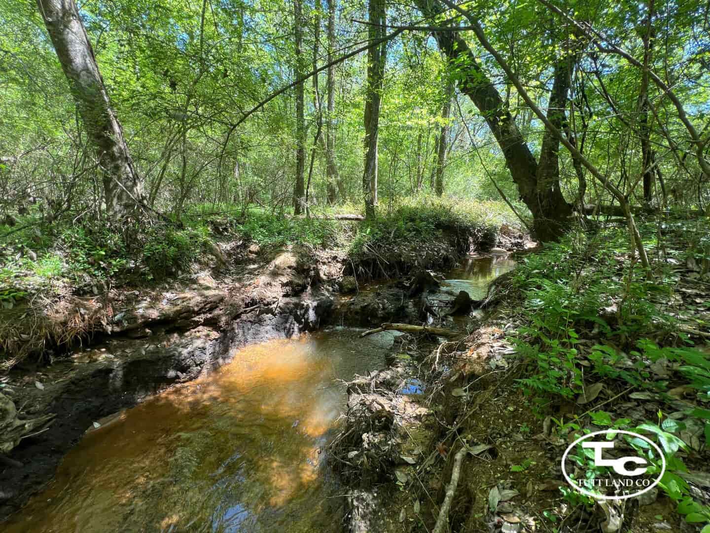 County Road 5133.png
