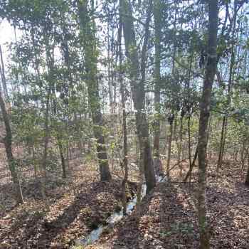 33 +/- Acres - Marion County - Clifty Creek Tract