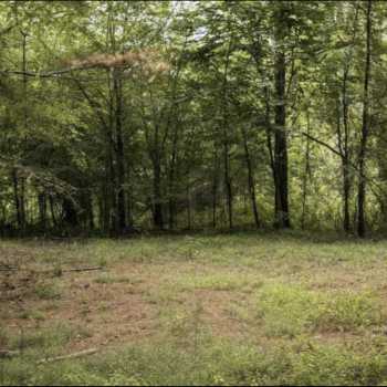 30 Acres - Lawrence County, AL - Youngtown Homesite