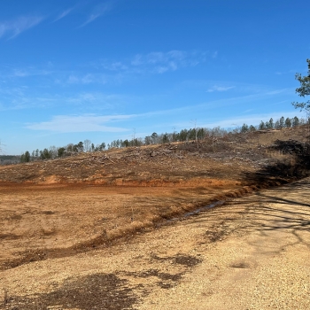 34 +/- Acres - Marion County, AL - Stinson Road Tract