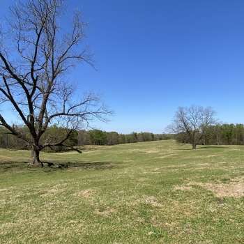 92 acres - Lee County - Piedmont Farm