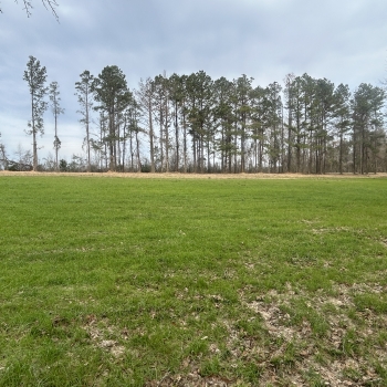 2 Acres - Crenshaw County - Springhill Home site