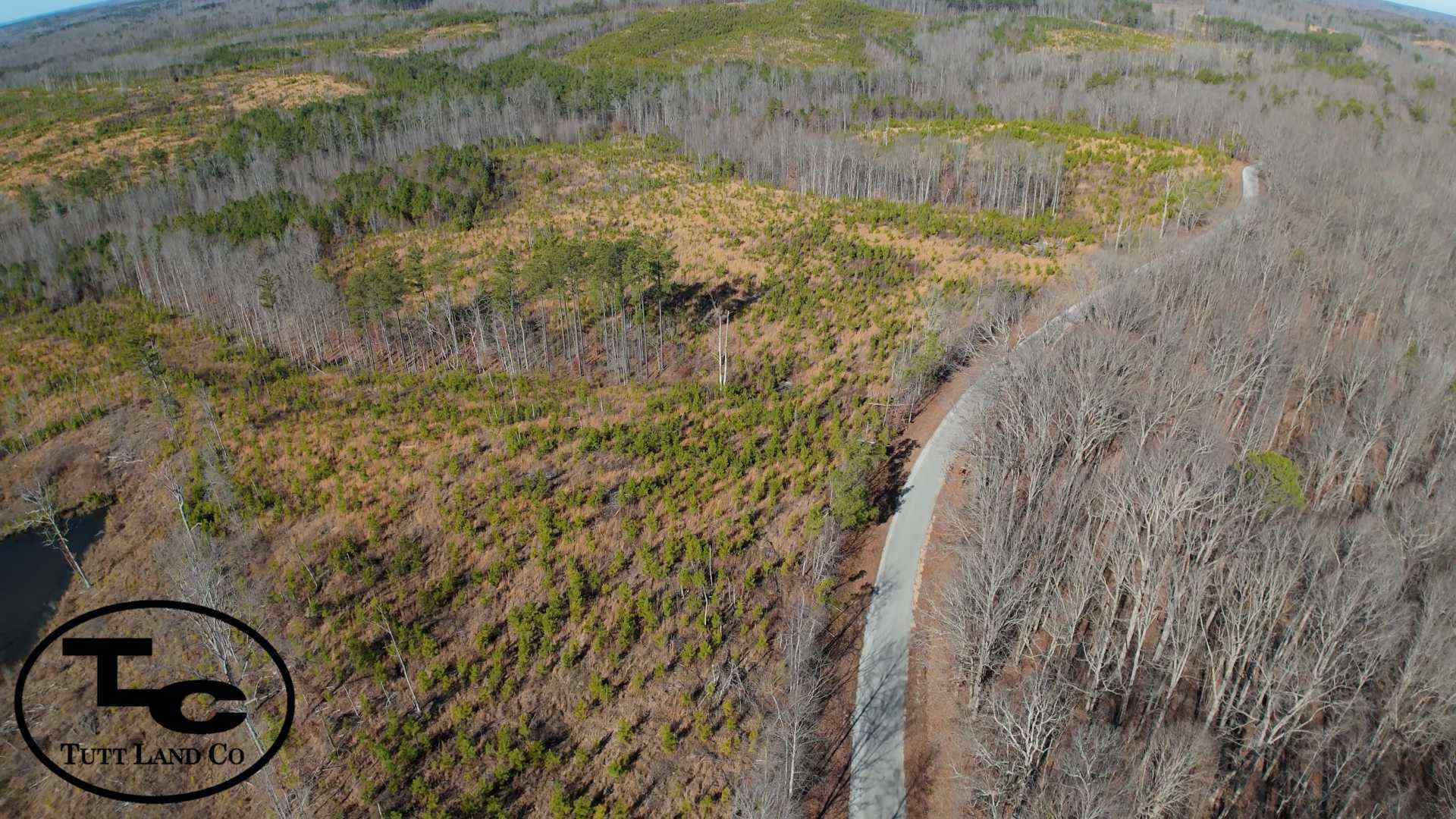 DJI_20240111105036_0030_D.00_00_41_12.Still006.jpg