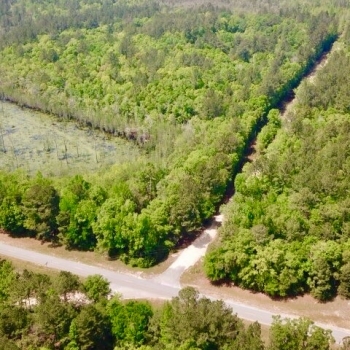 2 Acres-Covington County-Mobley Creek Loop-Southwest Tract