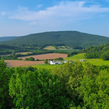 3.8 +/- Ac - Madison County, AL - Harrison Cove Lot