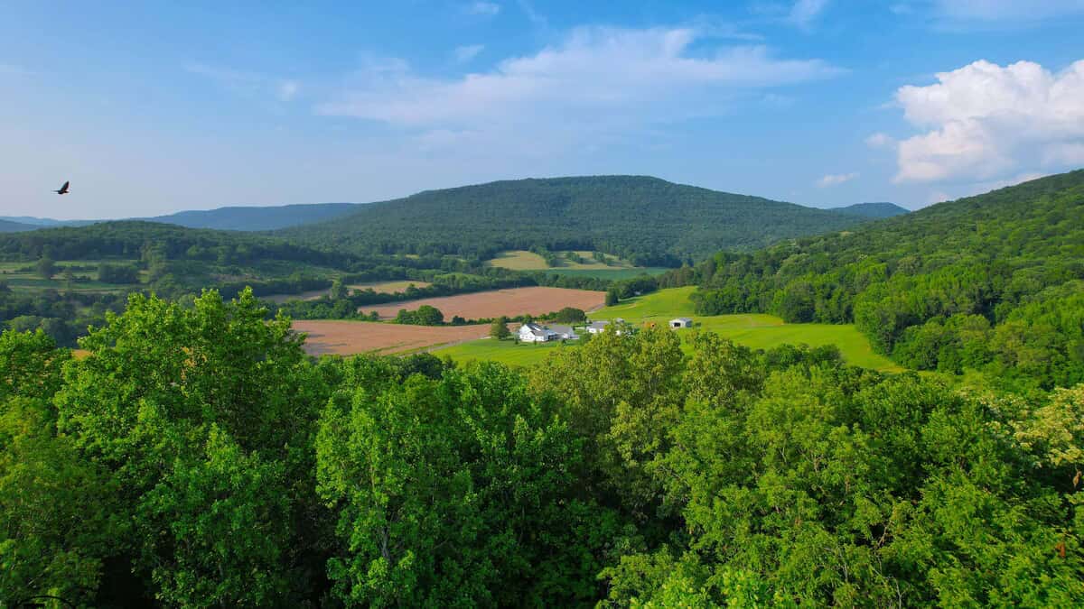 3.8 +/- Ac - Madison County, AL - Harrison Cove Lot