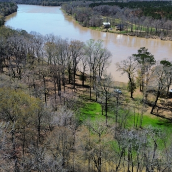 75 +/- Ac - Greene County, AL - Cooks Bend Camp