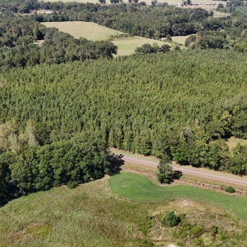 20.5 Ac - Conecuh Co - Bermuda Tract